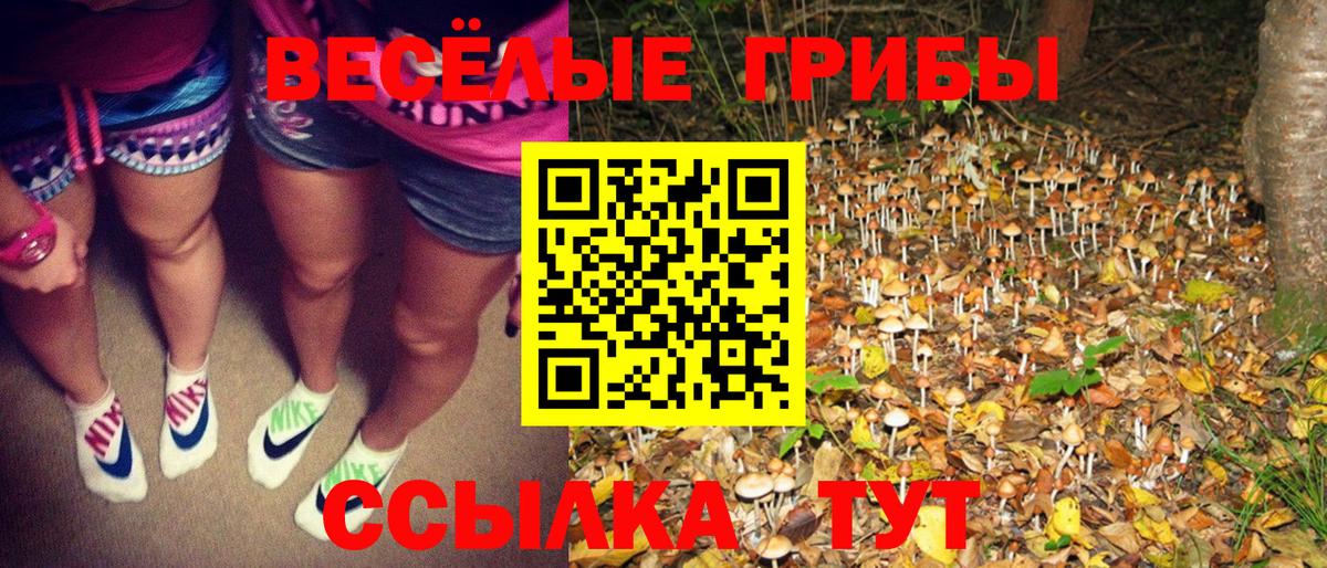 Галлюциногенные грибы Psilocybine cubensis Бутурлиновка
