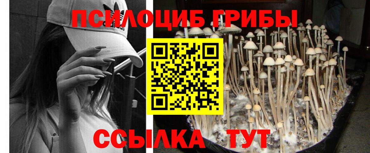 Галлюциногенные грибы GOLDEN TEACHER  Вход с VPN  Бутурлиновка 